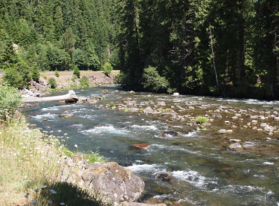 [A wide very shallow waterway with very tall trees on the right and numerous rocks visible in the water. The roadway follows around the curve of the river on the left.]